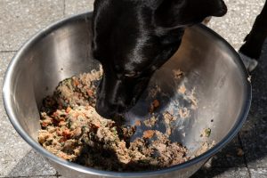 Can Dogs Eat Sweet Potatoes| Homemade Sweet Potato Canine Treats