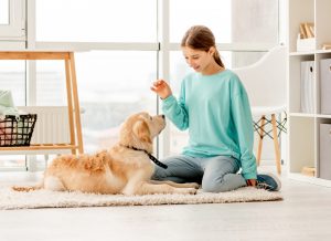5 Amazing Types OF Dog Training --Teach Your Canine About Obedience