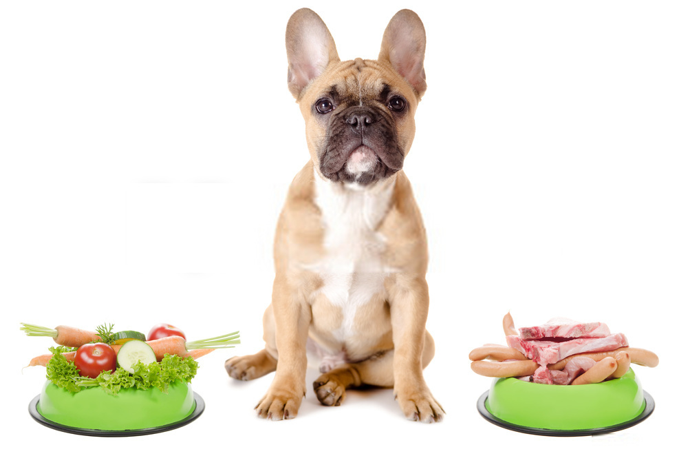 The Best Advice You Could Ever Get About Can Dogs Eat Tomatoes?
