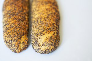 Can Dogs Eat Poppy Seeds?