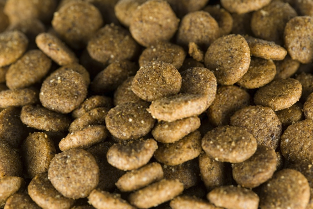 Can Dogs Eat Sesame Seeds 