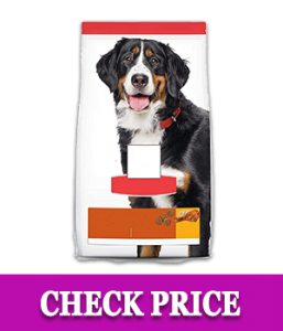 Hill's Science Diet Dry Dog Food For Adult - Cheap Affordable