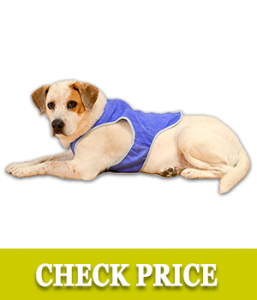 PupPal Pet Cooling Vest
