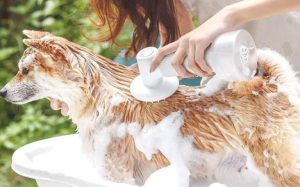 bath brush for a dog with sensitive skin